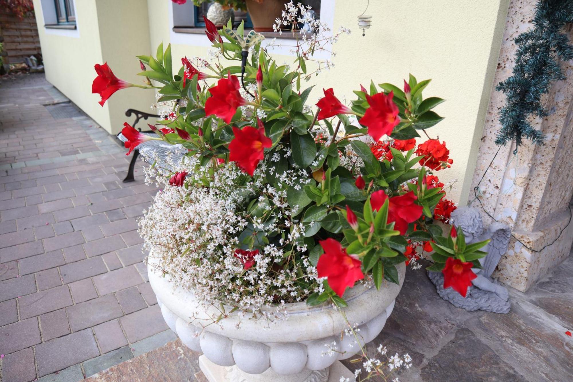 Landhaus-Appartements Warraich Schladming Zewnętrze zdjęcie